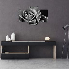 Tablou - Trandafir,alb-negru (90x60 cm)