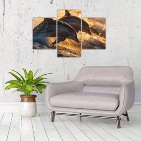 Tablou - Delfinii (90x60 cm)