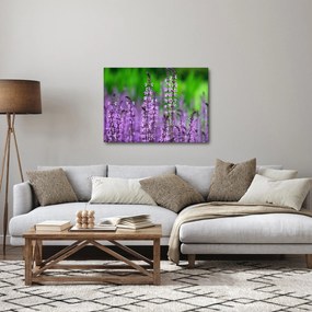 Tablou cu flori de luncă violete (70x50 cm)
