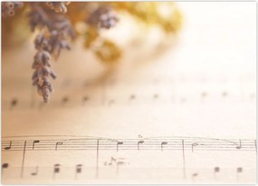 Tablou - Cântec (70x50 cm)