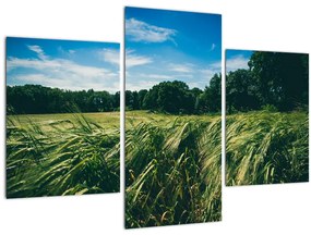 Tablou cu linca și pădure (90x60 cm)