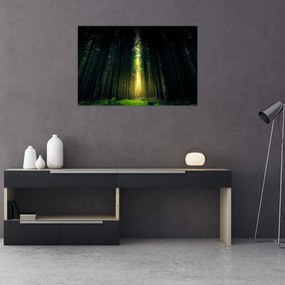 Tablou cu pădurea întunecată (90x60 cm)