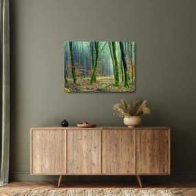 Tablou pe sticlă cu pădure (70x50 cm)