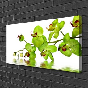 Tablou pe panza canvas Flori Floral Verde