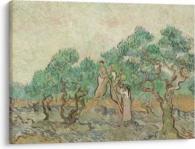 Tablou - Vincent van Gogh, The Olive Orchard, reproducere (70x50 cm)