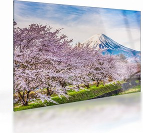 Tablou pe sticlă - Japonia în primăvară (70x50 cm)