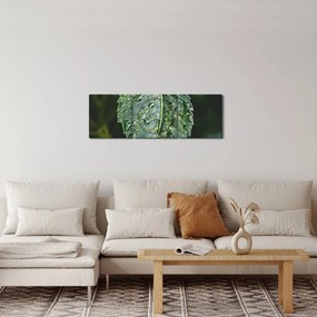 Tablou - picături pe frunză (cu ceas) (90x30 cm)