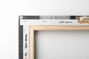 Tablou bicicletă rustică în design alb-negru
