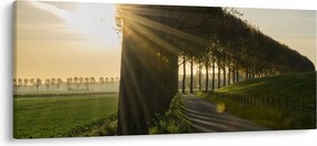 Tablou cu alee (120x50 cm)