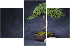 Tablou - Bonsai (90x60 cm)