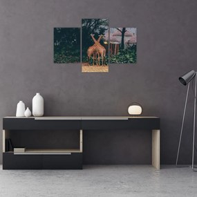 Tablou cu două girafe (90x60 cm)