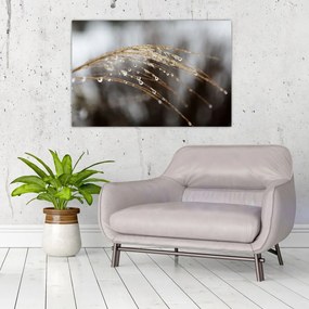 Tablou - Picături pe plantă (90x60 cm)