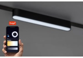 Plafonieră LED dimabilă pentru sistem de șină monofazic Rabalux 70123 LiTrack 12W/24V 22 cm