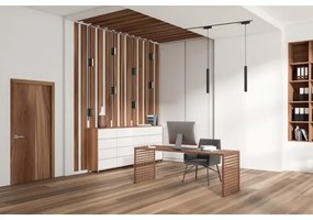 Plafonieră LED pentru sistem de șină monofazic Rabalux 70106 LiTrack LED/12W/24V 22 cm