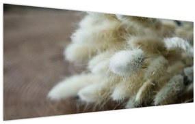 Tablou - Coadă de iepure (120x50 cm)