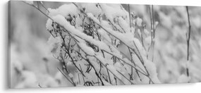 Tablou - Ramuri înzăpezite (120x50 cm)