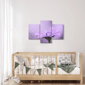 Tablou - Flori mov (90x60 cm)