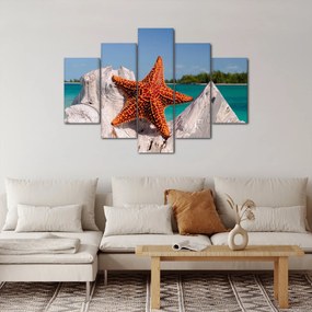 Tablou cu stea de mare (150x105 cm)