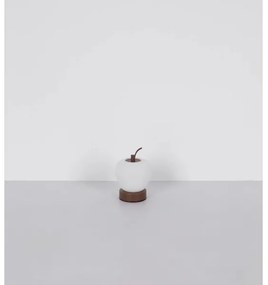 Globo 21011 - Lampă de birou LED reglabilă EVALINA LED/2W/3,7V