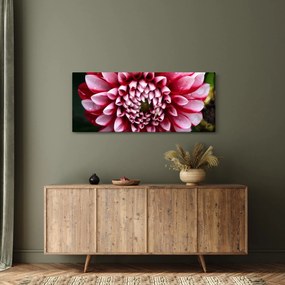 Tablou cu dalie roz (120x50 cm)