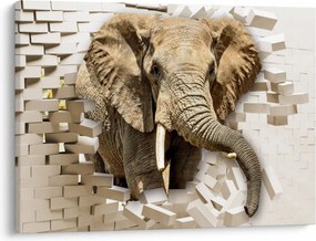 Tablou - Elefant spârgând peretele (70x50 cm)