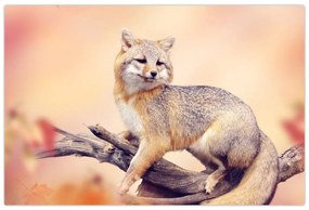 Tablou - Vulpea (90x60 cm)