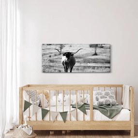 Tablou - Vacă,alb-negru (120x50 cm)