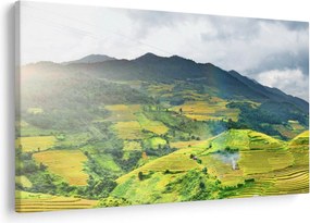 Tablou plantație (90x60 cm)