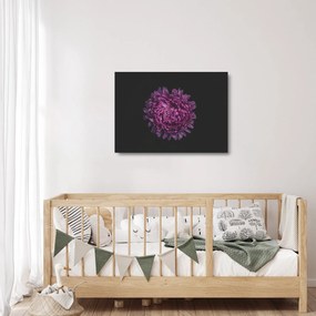Tablou pe sticlă cu floare violetă (70x50 cm)