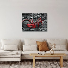 Tablou - Bicicleta istorică (70x50 cm)