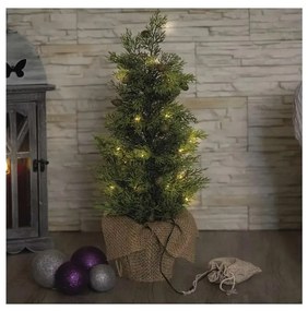 Decorațiune de Crăciun LED 30xLED/3xAA IP44