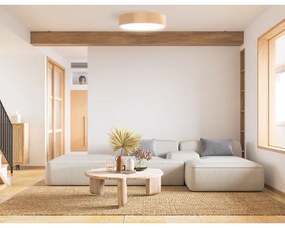 Plafonieră pentru baie CLEO 3xE27/24W/230V IP54 d. 37,5 cm pin