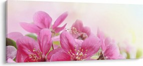 Tablou - Flori roz (120x50 cm)