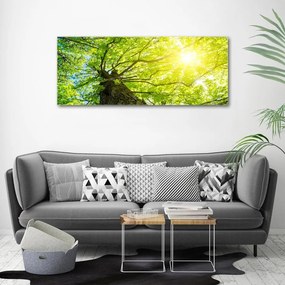 Imprimare tablou canvas Primăvară castan
