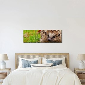 Tablou cu arici (cu ceas) (90x30 cm)