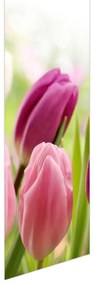 Fotojaluzele R012125R57150 (57x150 cm)