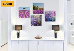 Set tablouri bogăția de lavandă