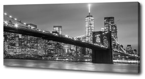Tablou canvas New york, pe timp de noapte