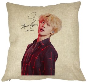 Perna Decorativa BTS Jimin 2, 40x40 cm, Husa Detasabila, Burduf