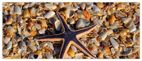 Tablou cu stea de mare (120x50 cm)