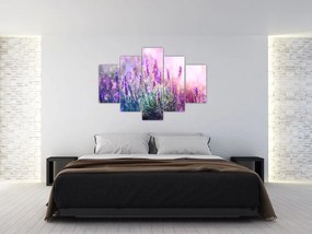 Tablou - Lavandă în strălucirea soarelui (150x105 cm)
