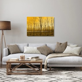 Tablou pe sticlă cu pădure în apus de soare (70x50 cm)
