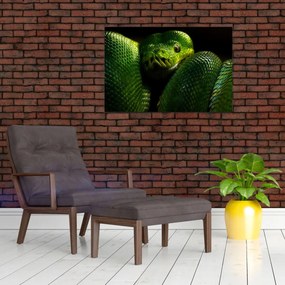 Tablou - Șarpele verde (90x60 cm)