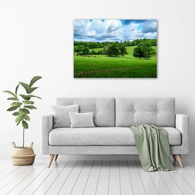 Imprimare tablou canvas Dealuri verzi