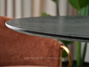 Masă de sufragerie Otava Stol (lemn negru + negru). 1111761