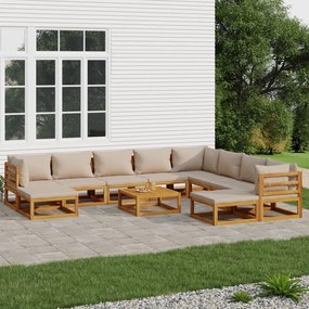 3155262 vidaXL Set mobilier de grădină cu perne gri taupe 11 piese, lemn masiv