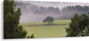 Tablou - Lunca cu copac (120x50 cm)