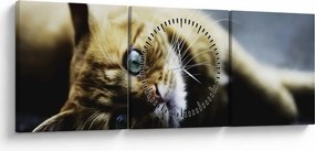 Tablou cu pisica (cu ceas) (90x30 cm)