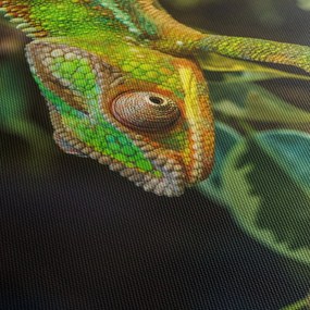 Tablou cu cameleon (cu ceas) (90x30 cm)