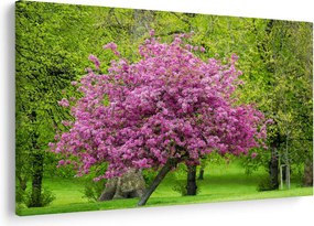 Tablou cu pom înflorit pe luncă (90x60 cm)